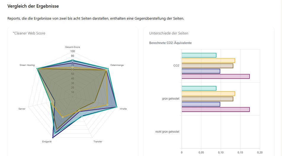 Screenshot des °Cleaner Web Toolset Reports #1